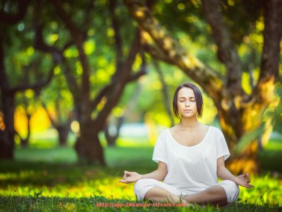 24看球直播网-世俱杯比赛场馆详细列表及场馆特色介绍